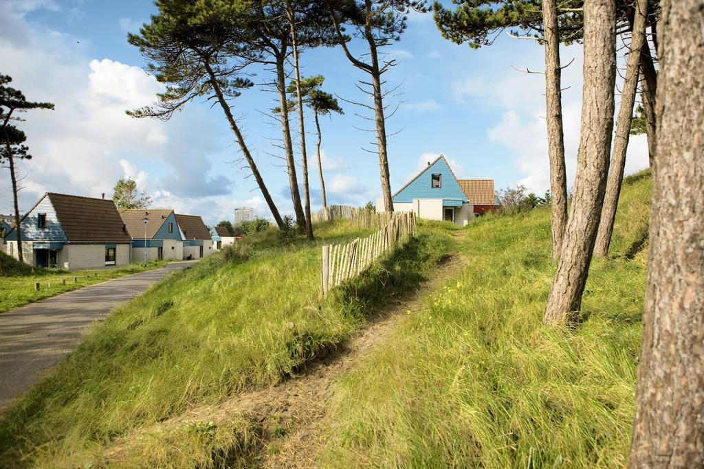 Center Parcs Zandvoort Beach Eksteriør bilde